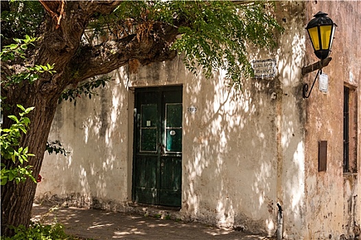 lo bach thủ