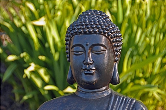 cầu bạch thủ hôm nay