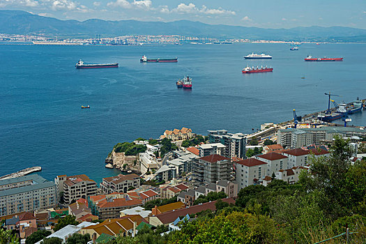 soi cau vua nha cai