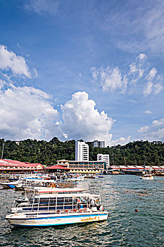 soi đề bạch thủ
